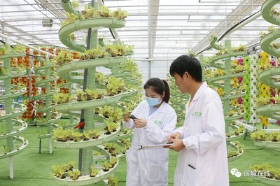 宿遷宿城:做強現代種業激活鄉村振興“芯”動力