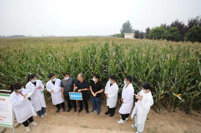 第29屆農高會回眸:奏響鄉村振興的雄渾樂章