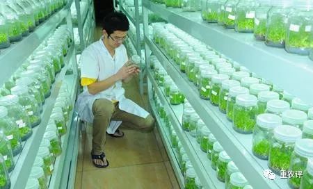 其實你不知道,涉農人才根本就供不應求!