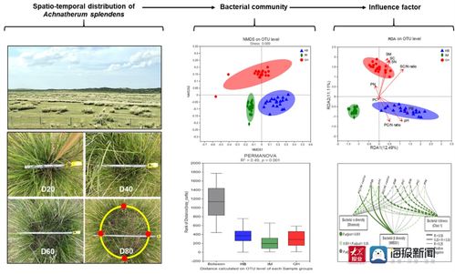 喜訊 青島農業大學草學團隊在退化草地植被和土壤特征方面取得重要進展