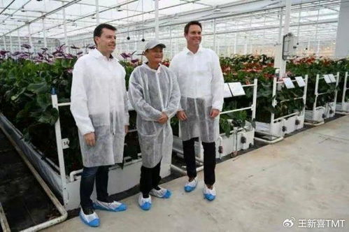 馬云投資1000萬成立馬家廚房,預制菜行業會變得更好嗎