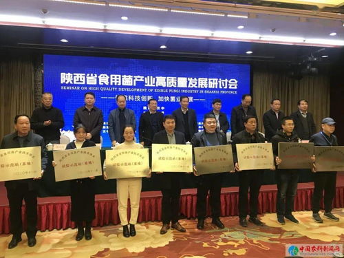 陜西省食用菌產業高質量發展研討會在漢中舉行