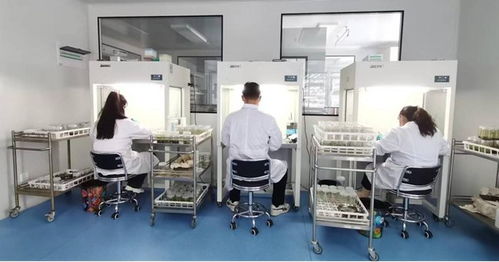 亞盛農業研究院 強科技 謀布局 振興百合產業發展