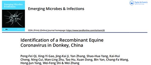 山東省農業科學院畜牧獸醫所在馬屬動物傳染病研究方面取得突破性進展