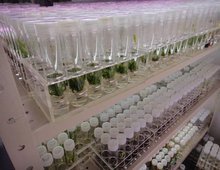 農業部果樹種質資源利用重點開放實驗室