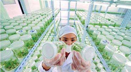 火速收藏!2018年31個農業項目補貼申報指南出爐!(附申報時間、口徑、范圍)