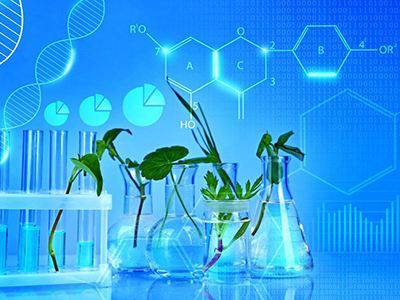 大眾銳評|人才土地“捆綁”,寫好科技興農“新攻略”