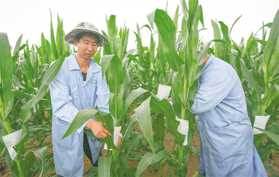 傾力打造全省三大籃子 海墾好味道滿滿鮮滋味