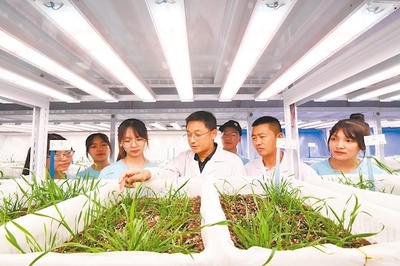 華農大學生助農助產襄陽行