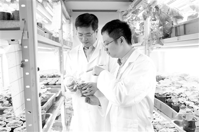 解讀2017中國高校十大科技進展!―科研發展―中國教育和科研計算機網CERNET