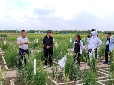 賈玉山:雄關漫道真如鐵,而今邁步從頭越--從事國家牧草產業技術體系干草調制貯藏崗位工作的感悟