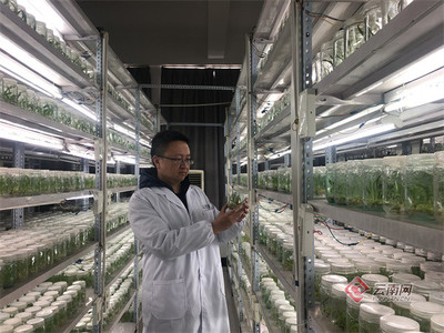 昆明市加速建設區域性國際科技創新中心