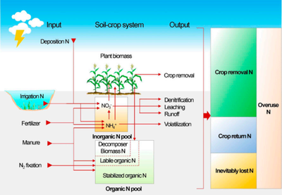 中國農業大學科研院 科技論文 崔振嶺教授課題組發文發布全國主要糧食作物縣域氮肥施用定額 助力農業綠色發展