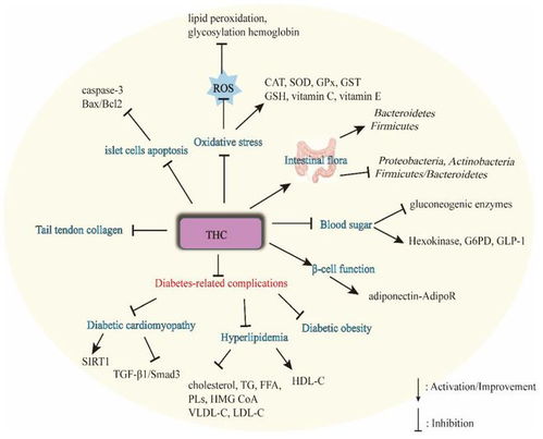 研究進展 姜黃素與人類健康關系的探討