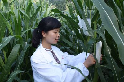 學農愛農扎根農業科研一線 安康市鎮坪縣這個90后女農藝師“不簡單”