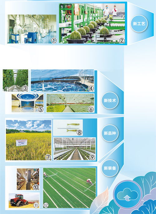 聚焦主導產業 強化科技創新 新時代畫卷 國家現代農業產業園