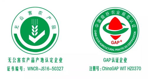 重磅梳理 什么是綠色農業 這一篇有詳解 附現狀及對策研究