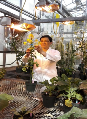 楊立勇:做一個有情懷的新農人