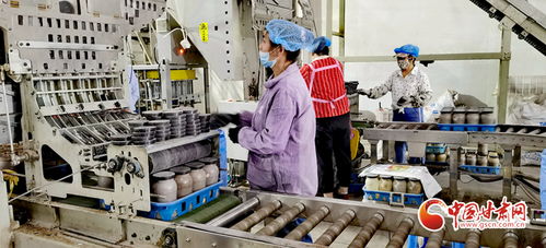 張掖 鄉村振興產業先行 源頭活水 潤發展沃土