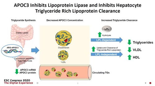 面對人類 頭號殺手 ,新療法和治療模式能夠帶來哪些突破