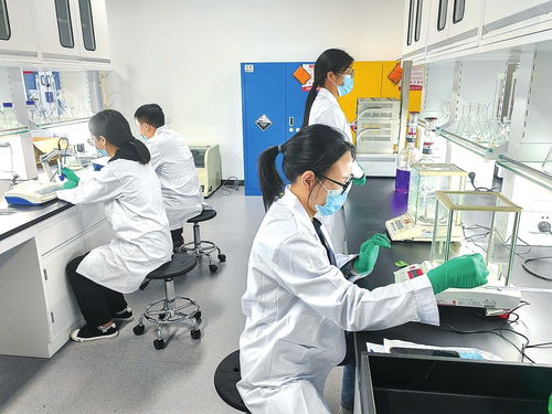 全面推進鄉村振興 加快建設農業強省