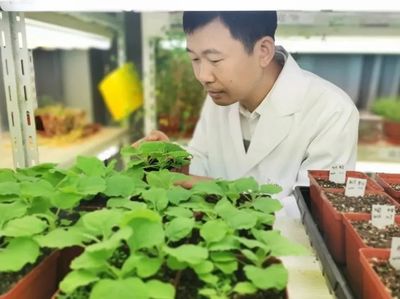 上海13人上榜!首期"新基石研究員"名單公布丨附個人介紹