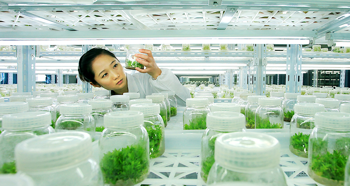 泗洪“十大工程”筑夢水美民豐家錦繡_社會_網