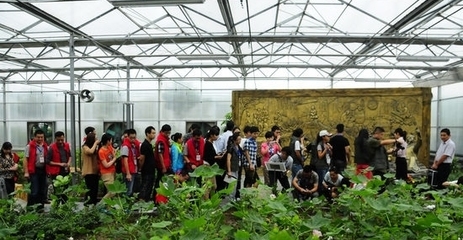 每個省可推薦2個“國家農業可持續發展試驗示范區”