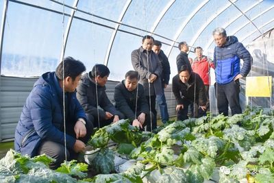 戰風沙、斗酷暑,肅州戈壁灘變身“聚寶盆”!~