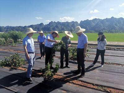 蔣太明到熱作所開展調研指導