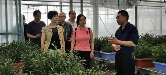 重慶銅梁區老科協:建立果蔬科研實驗基地助力果苗產業高質量發展