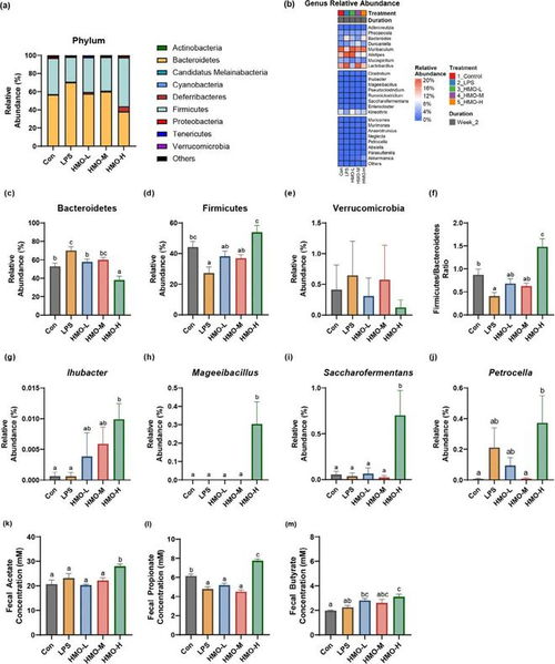 研究進展 母乳低聚糖與健康關系的探討