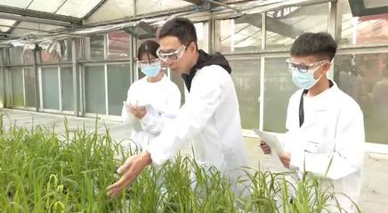 黨的二十大精神在基層|貴州大學這個重點實驗室以科技賦能鄉村振興