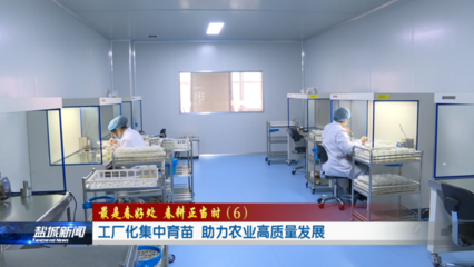 工廠化集中育苗 助力農業高質量發展