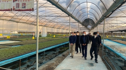 中國農業大學農學院 新聞動態 【強國先強農 農院在行動】農學院赴云南楚雄調研推進現代種業研究院建設