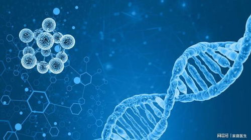 新型營養不良在中老年群體蔓延 科學家 核苷酸或可幫大忙