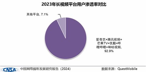 中國網絡視聽發展研究報告 2024 在蓉發布
