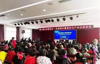 權威專家分享 紅薯生產種植中,這些事項必須注意