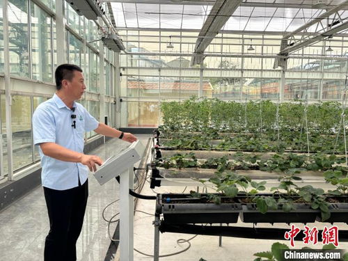 山東農企各顯身手 拓寬共建 一帶一路 國家市場