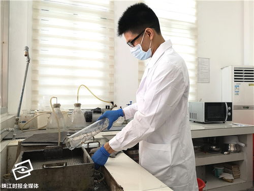 南海區人民政府門戶網站