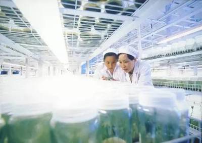 農作物品種審定有新《辦法》!權威解讀戳進來~~