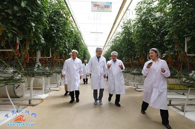 張掖市人民政府