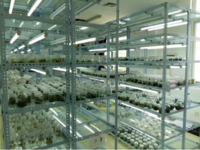 食品與生物學院簡介