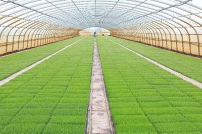 北大荒集團建三江分公司 “數智”聯通 “慧”就農業新圖景