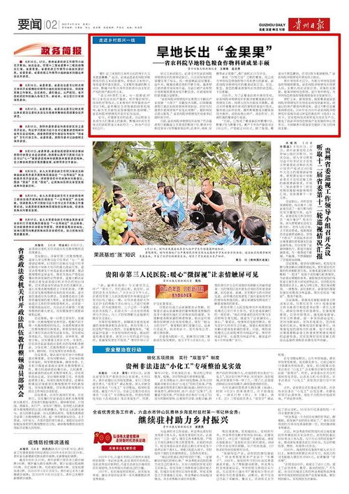 旱地長出 金果果 丨省農科院旱地特色糧食作物科研成果豐碩