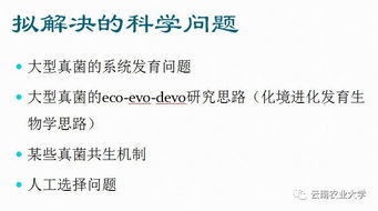 2017年云南農業大學科技創新成果匯 三 三大研究發展計劃