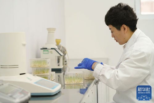 大糧倉 黑龍江春耕備耕火熱進行