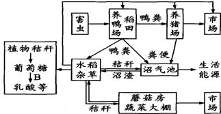 4.小球藻是常用來進行毒性測試的模式生物,納米銀由于抗菌性能良好而被廣泛應用于紡織品.食物容器.醫藥及個人護理品等商品中.但其釋放到水環境中的風險也引起了科學界的重視