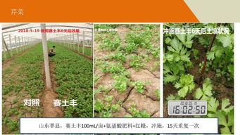 奧特奇 賽土豐 破解土壤健康的密碼