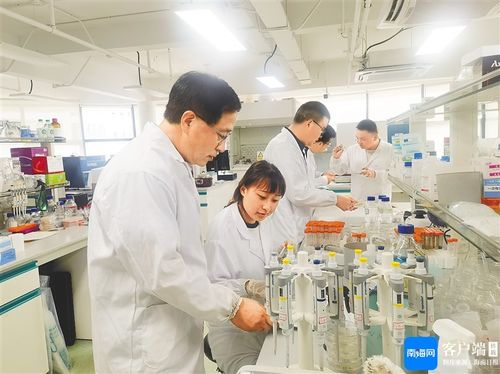 省種業實驗室創新模式加快科技成果轉化 讓科研成果用得上 走得俏